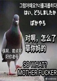 ［海贼王］为了赚钱我被迫下海（nph）