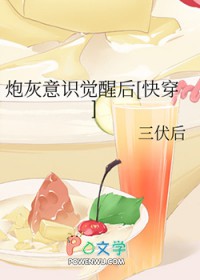 兽人之附能师