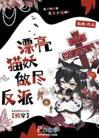 漂亮的猫咪的照片