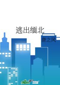 逃犯跑到缅甸