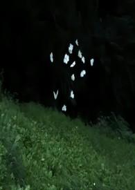 兄妹骨科1v 1点烟